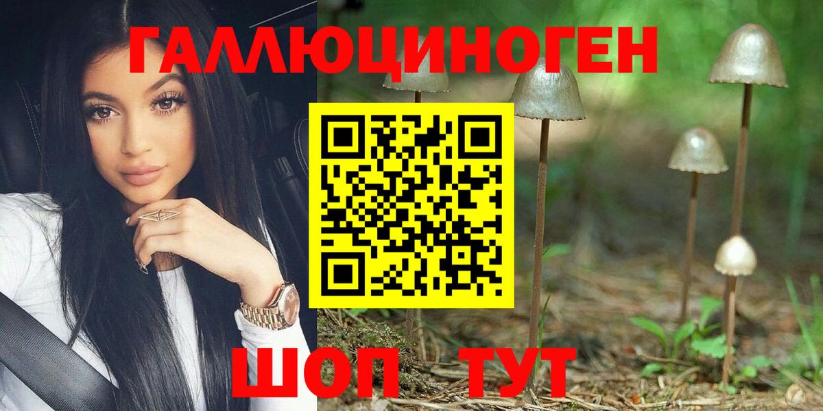 Галлюциногенные грибы Psilocybe Михайловск