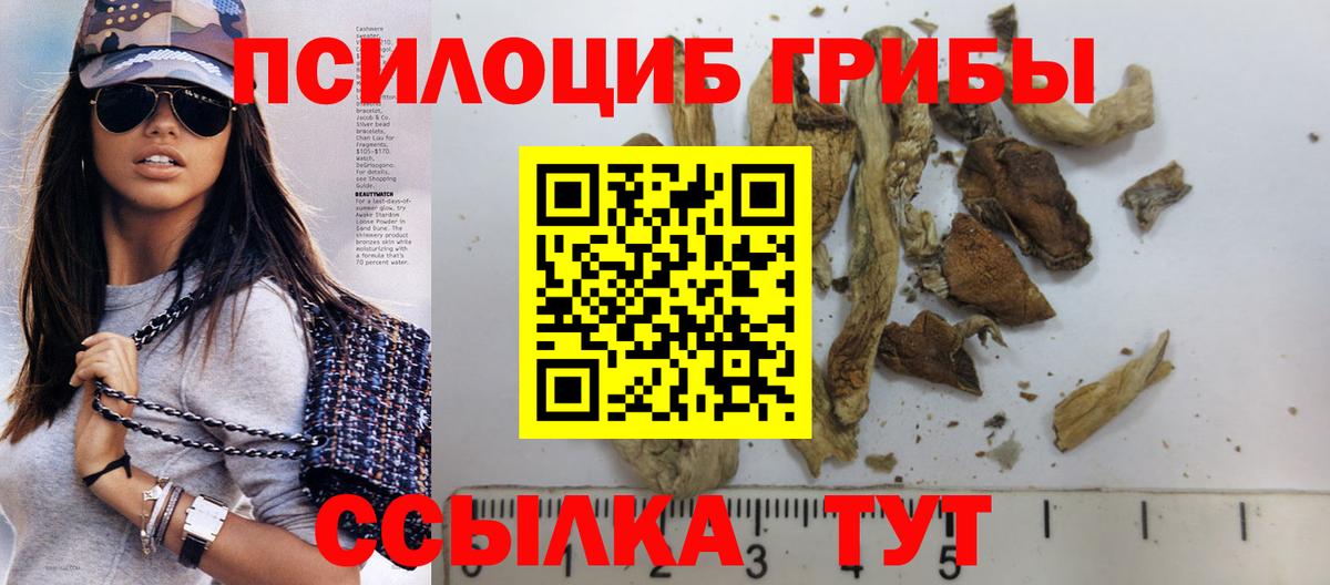 Михайловск  Псилоцибиновые грибы Magic Shrooms  Вход с VPN  Галлюциногенные грибы Psilocybe 